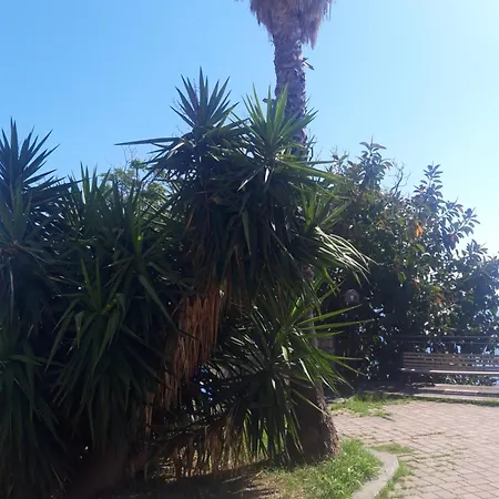 Donna Mercede Apartment